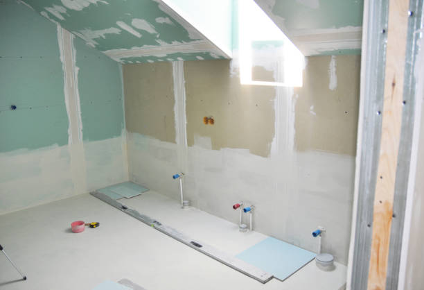 Best Post-Construction Mold Inspection  in Monticello, IN