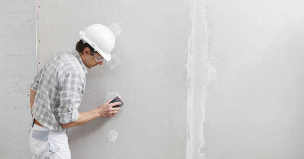 Mold Remediation for Vacation Homes in Monticello, IN