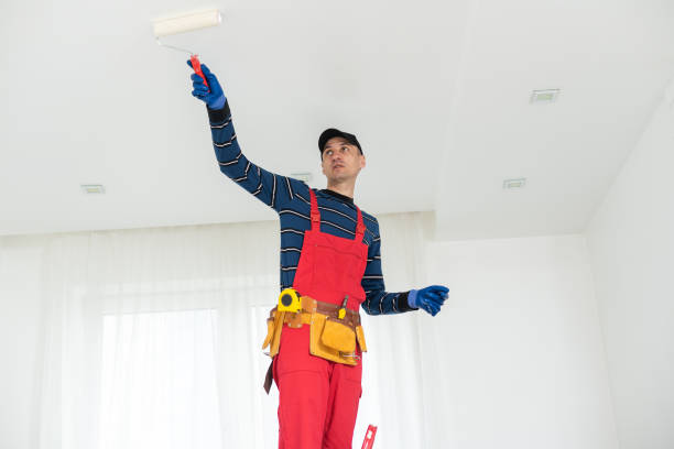 Best Water Damage & Mold Remediation  in Monticello, IN
