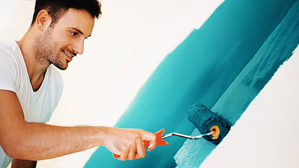 Best Black Mold Removal  in Monticello, IN