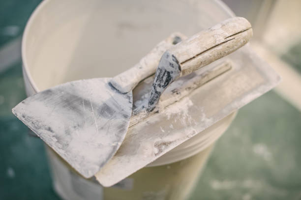 Best Mold Odor Removal Services  in Monticello, IN